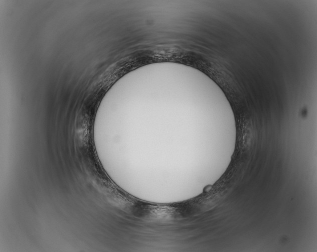 X0000115660226200912031340