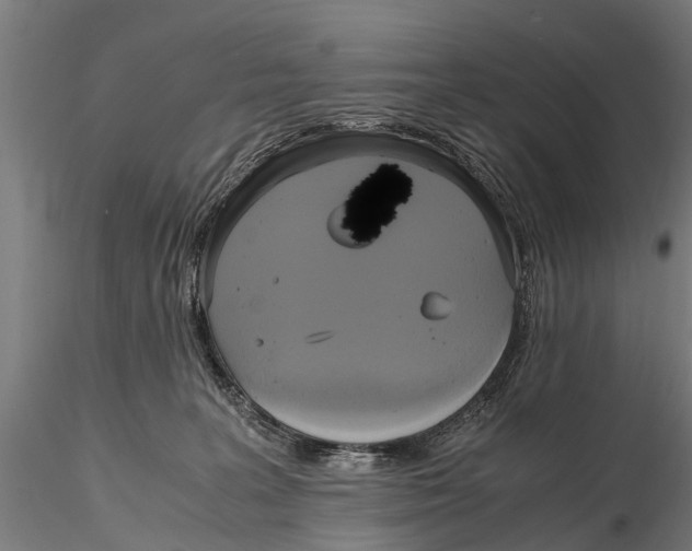 X0000115660227200912031339