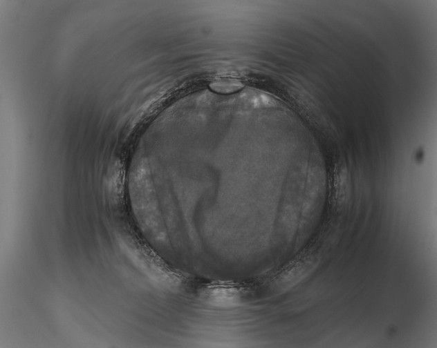 X0000115660228200912031339