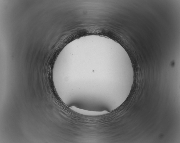 X0000115660229200912031339