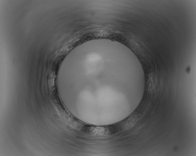 X0000115660230200912031339