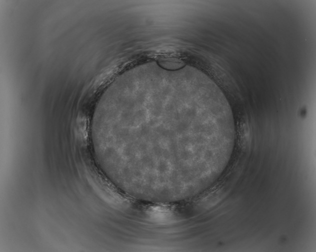 X0000115660232200912031339