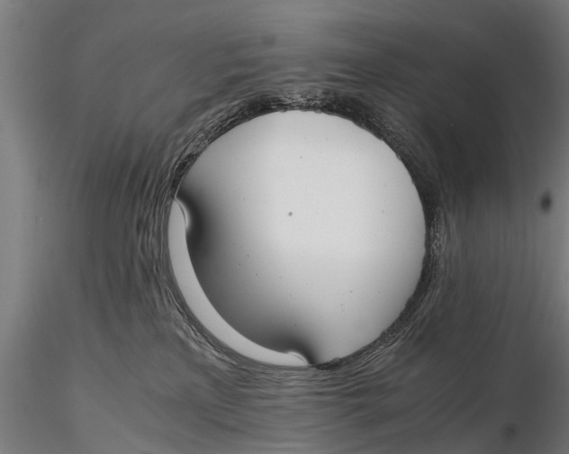 X0000115660233200912031339