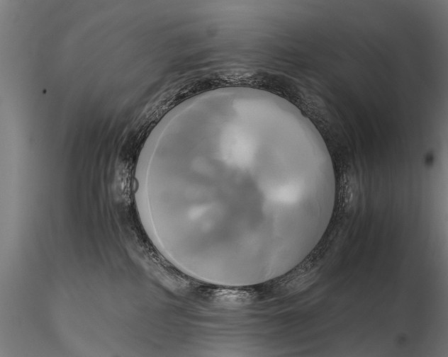 X0000115660234200912031339