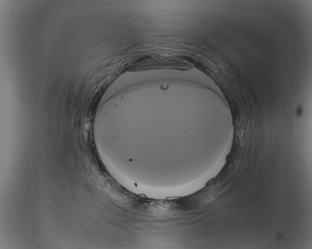 X0000115660235200912031339