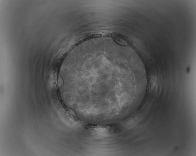 X0000115660236200912031339