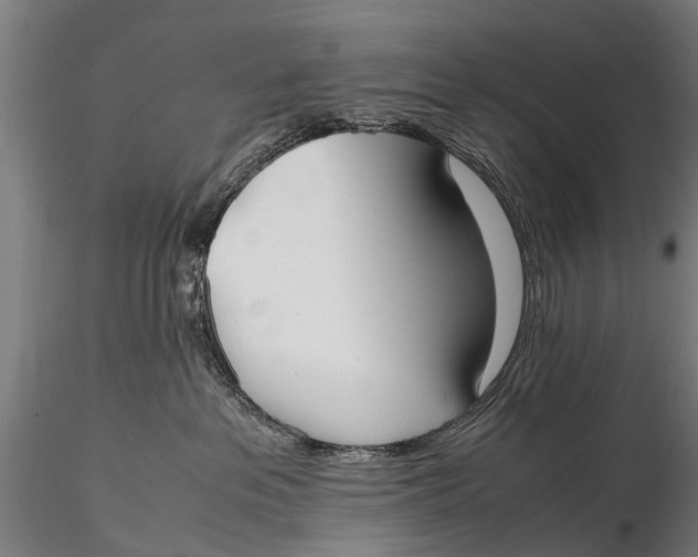 X0000115660237200912031339