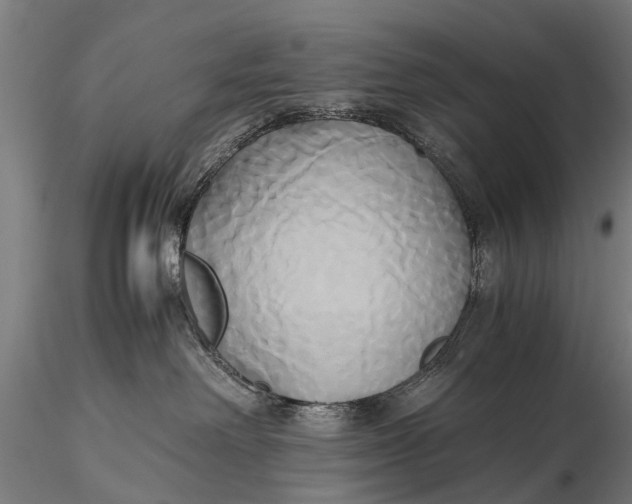 X0000115660238200912031339