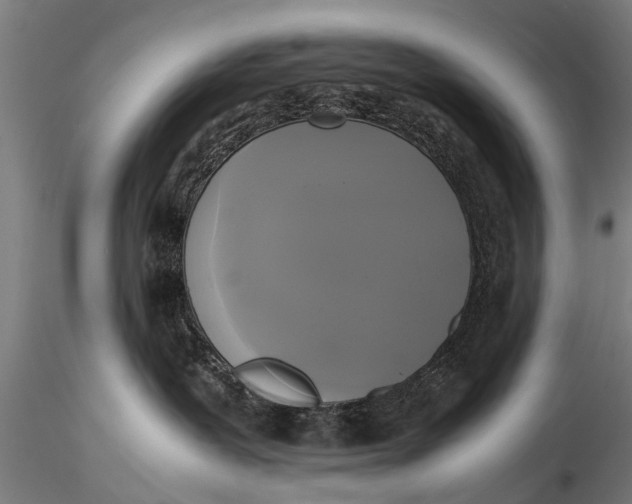 X0000115660239200912031339