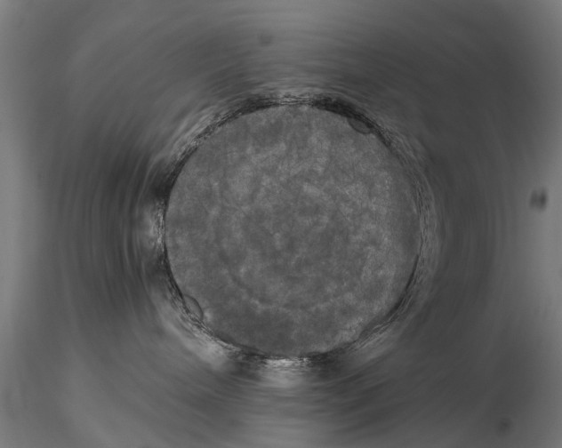 X0000115660240200912031339