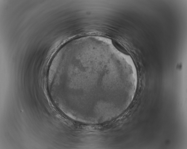 X0000115660241200912031339