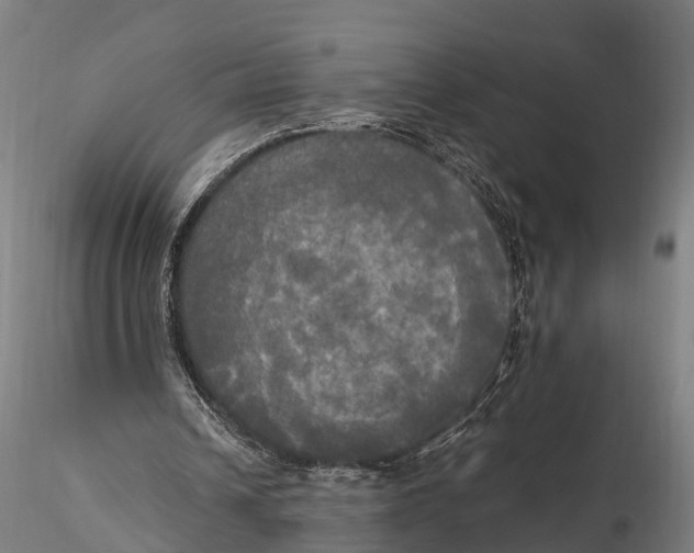 X0000115660242200912031339