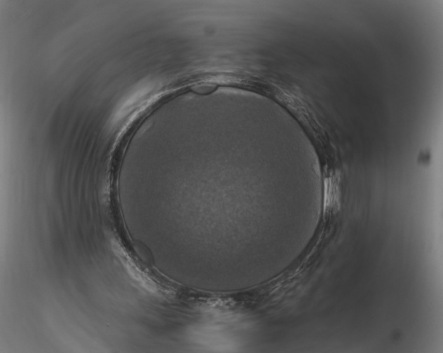 X0000115660243200912031339