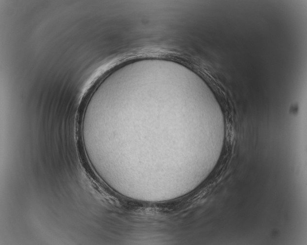 X0000115660244200912031339