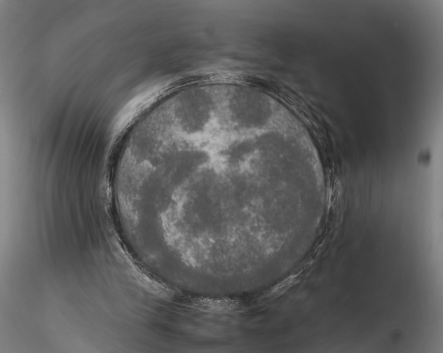 X0000115660245200912031339