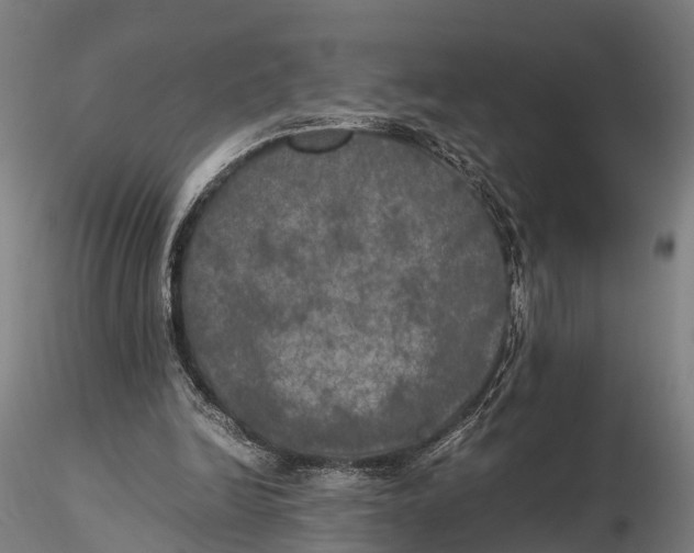 X0000115660246200912031339