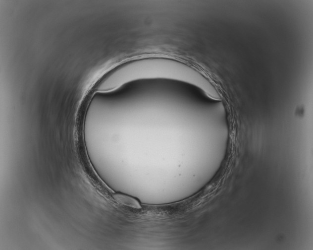 X0000115660248200912031339