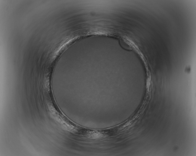 X0000115660249200912031339