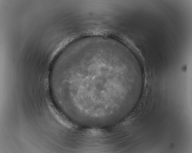 X0000115660250200912031339