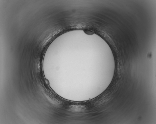 X0000115660251200912031339