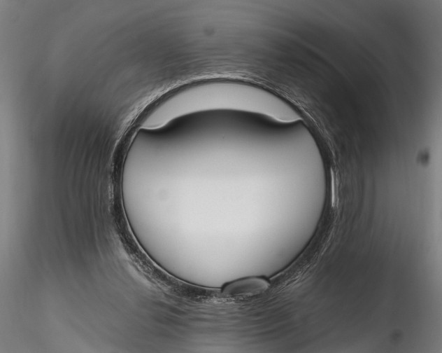 X0000115660252200912031339