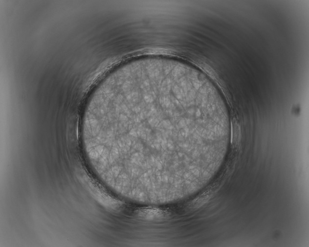 X0000115660253200912031339