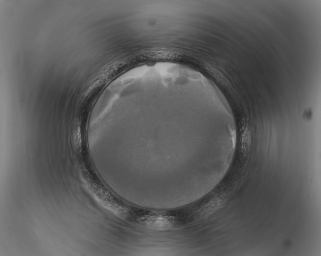 X0000115660254200912031339