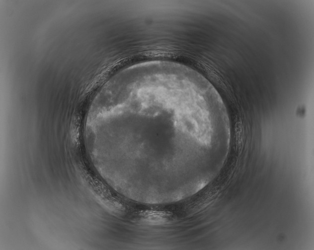 X0000115660255200912031339