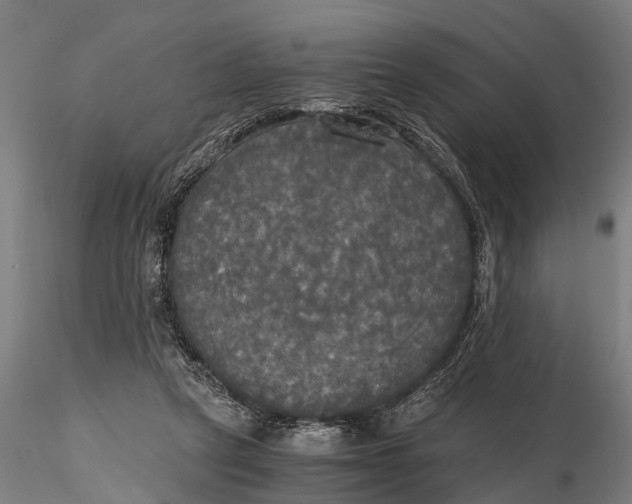 X0000115660257200912031339