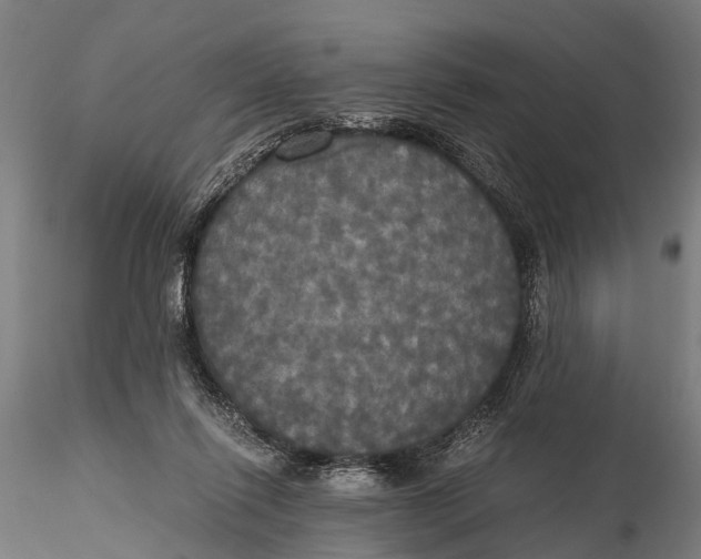 X0000115660262200912031339