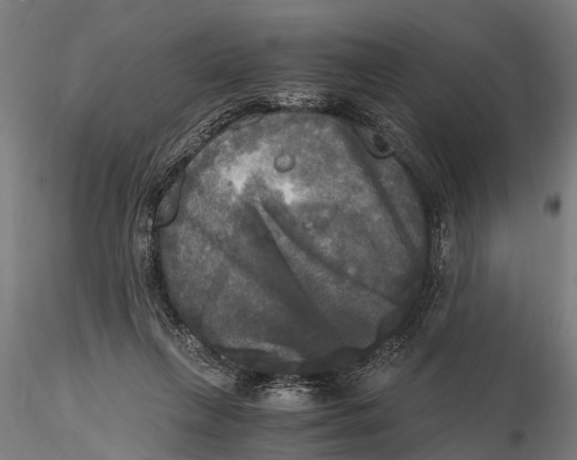 X0000115660263200912031339