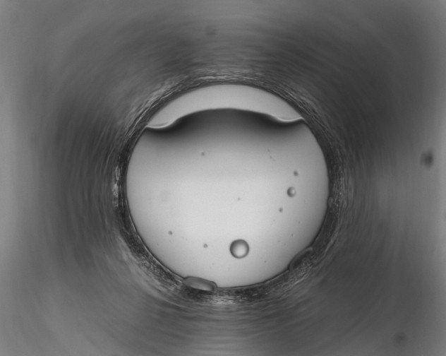 X0000115660264200912031339