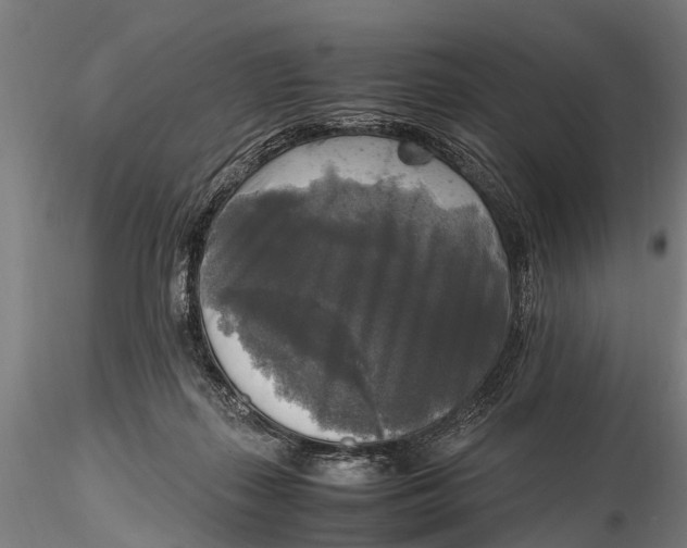 X0000115660267200912031339