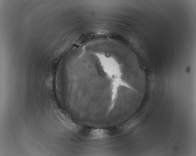 X0000115660269200912031339