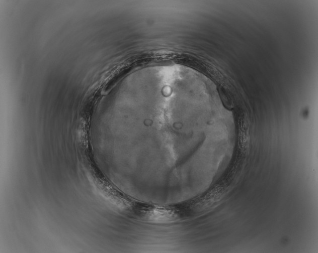 X0000115660270200912031339