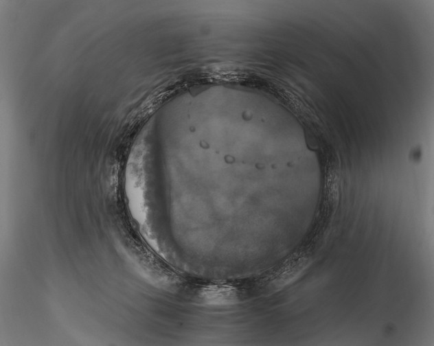 X0000115660271200912031339