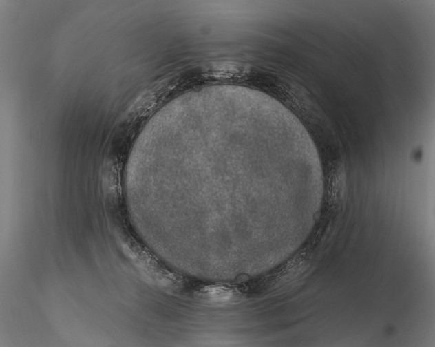 X0000115660272200912031339