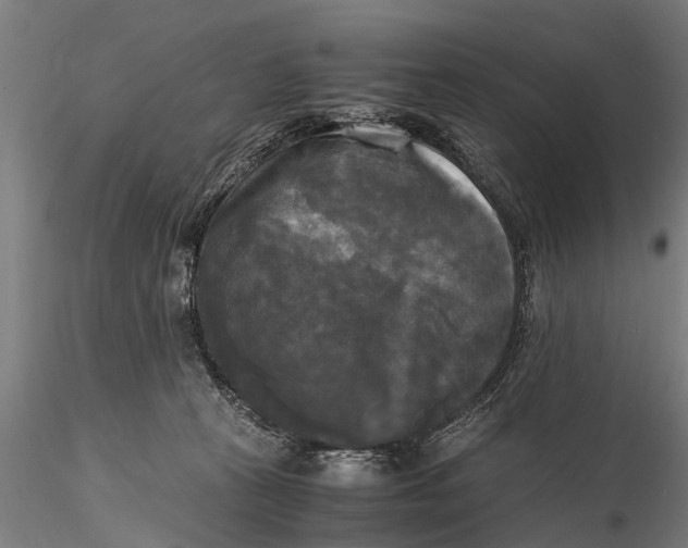 X0000115660273200912031339