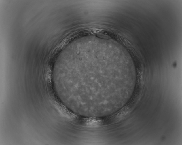 X0000115660274200912031339