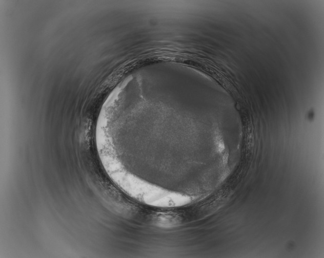 X0000115660275200912031339