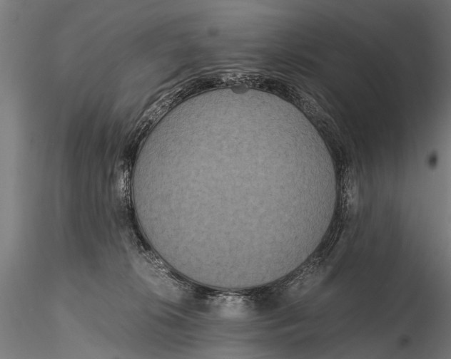 X0000115660276200912031339