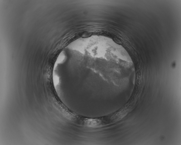 X0000115660277200912031339