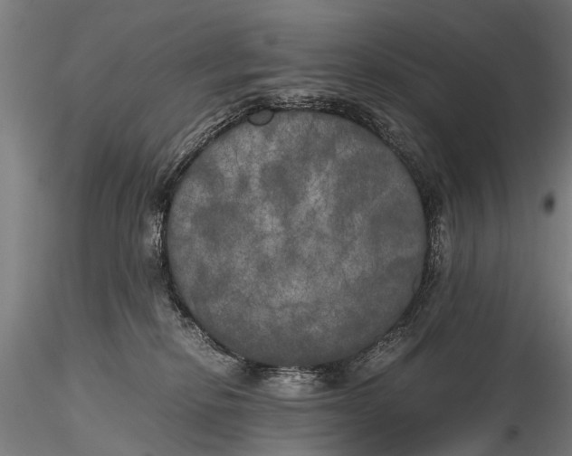 X0000115660278200912031339