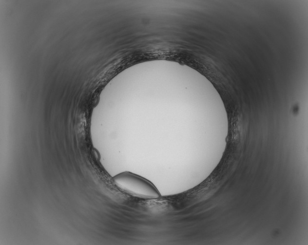 X0000115660279200912031339