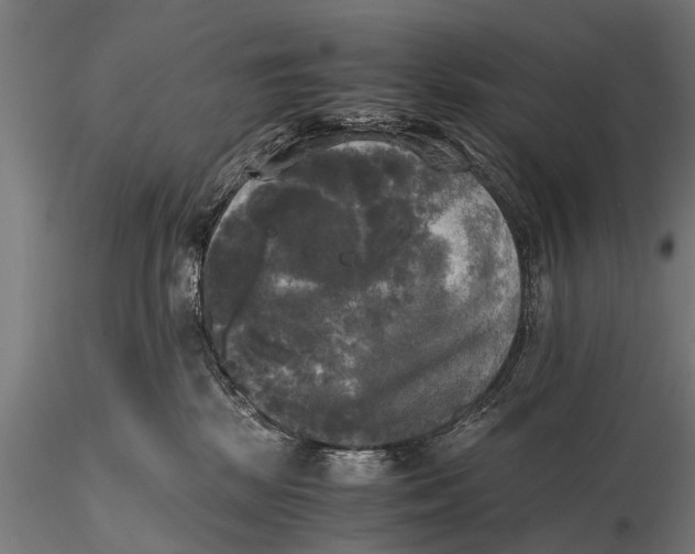 X0000115660281200912031339