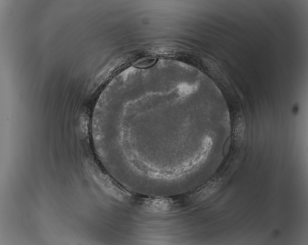 X0000115660282200912031339