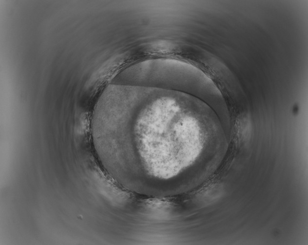 X0000115660284200912031339