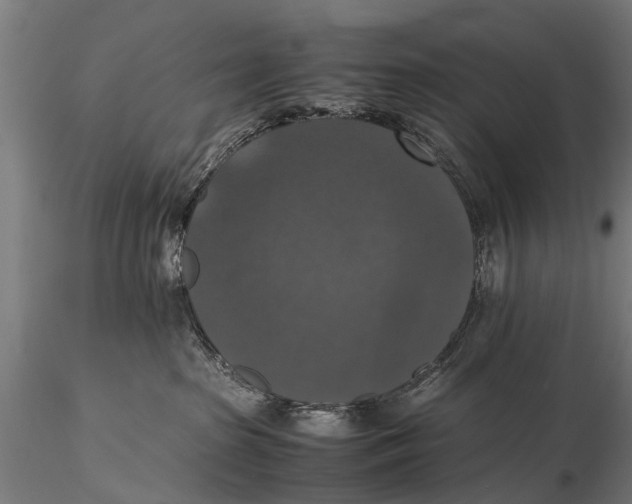 X0000115660285200912031339