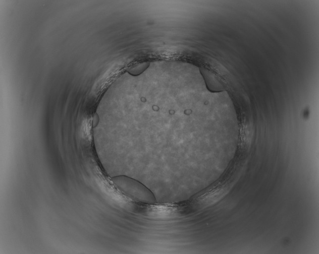 X0000115660286200912031339