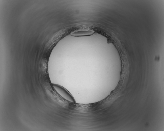 X0000115660288200912031339